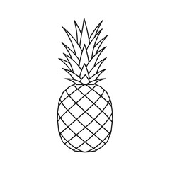 Pineapple Outline Vector Illustration
