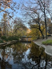 autumn landscape with river