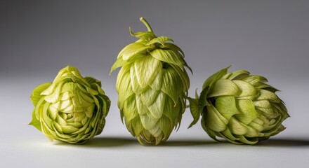 Obraz premium Three hop cones against a white background.