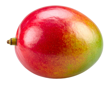 A vibrant, perfectly ripe mango against a black background. Its smooth skin transitions from red to green and yellow