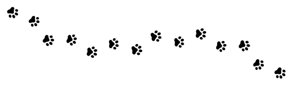 Paw footprint of dog or cat