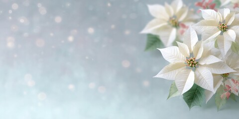 Delicate white flowers blooming nature landscape floral art soft background tranquil atmosphere