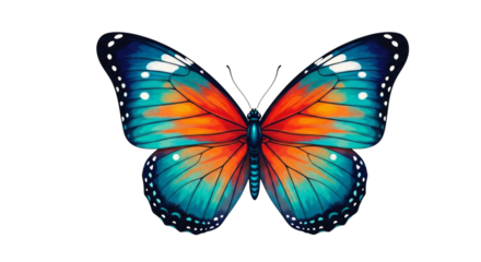 Beautiful butterfly wings vibrant colors isolated artwork on transparent background