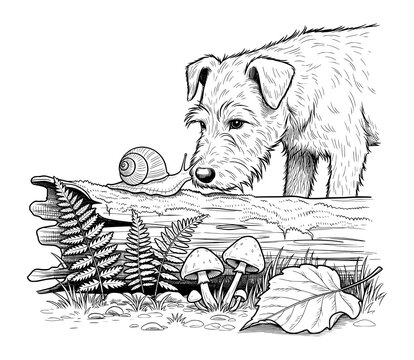 Curious Dog Watching Snail in Detailed Line Art. Nature Exploration Vector Illustration for Mindfulness.