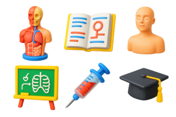 Nursing Education Icons. 3D icon set of nursing education: anatomy model, open textbook, simulation dummy, chalkboard diagram,