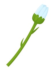 Cartoon-style image of a closed flower bud on a long green stem