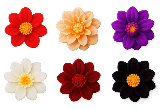 Heirloom Dahlia Icons. 3D icon set of heirloom dahlia varieties: bishop of llandaff, caf&eacute; au lait, thomas edison, karma serena,