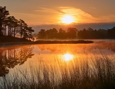 sunrise over tranquil lake
