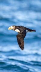 Bird in flight over ocean waves, showcasing plumage