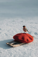 cozy winter scene features bright cap lying in snow next to charming sled