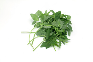 Close up of fresh Amaranthus leaves on white background