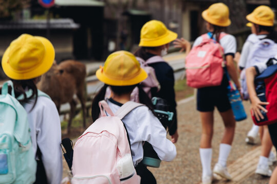 Group of school children students outdoor excursion, guided tour in the city with guide, docent with tourist pupils visitors, wear color caps hats, kids class field trip, urban sightseeing in Japan - Powered by Adobe