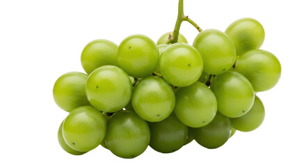 Isolated bunch of green grapes, fresh fruit for healthy food, delicious and juicy snack