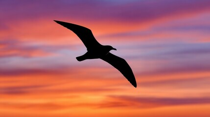 Fototapeta premium A bird in silhouette soaring through a vibrant sunset sky, showcasing beautiful colors and tranquility. Ideal for nature and wildlife themes.