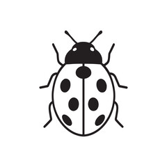 ladybug vector illustration on white background