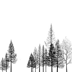 Hand drawn illustration of a forest