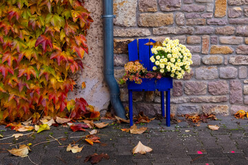 Colorful autumn scene featuring a bright blue chair decorated with flowers beside a stone wall and vibrant ivy
