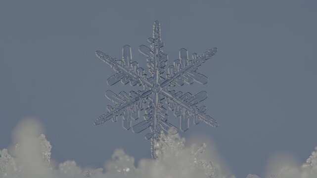 Advanced microphotography techniques for analyzing snowflake morphology with precision optics, illumination, and high-resolution imaging methods