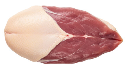 Isolated Duck Breast Meat Portion Uncooked, Ready to Cook - Gourmet Food for Connoisseurs