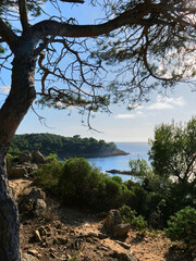 Sentier littoral Méditerranéen - pointe du Brouis