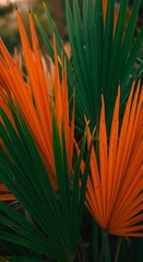 Vibrant Palm Fronds - A Study in Contrasting Colors.