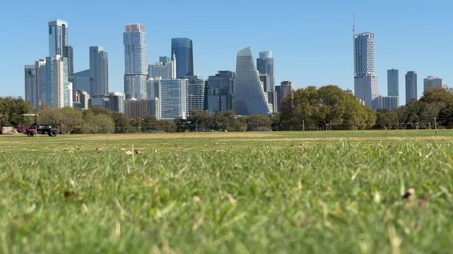 Low angle of Austin Texas Skyline with leaves