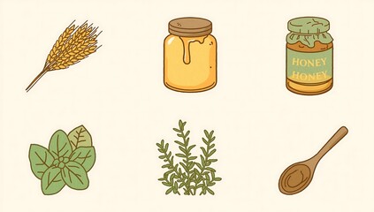 Hand drawn botanical illustrations of herbs spices and natural ingredients for culinary and medicinal use