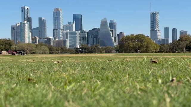Low angle of Austin Texas Skyline with leaves