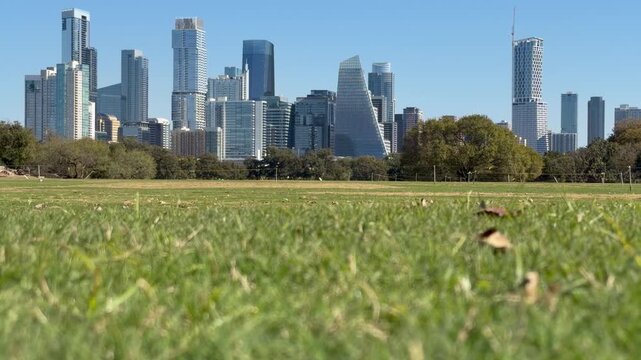 Low angle of Austin Texas Skyline with leaves
