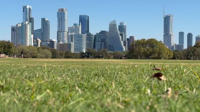 Low angle of Austin Texas Skyline with leaves