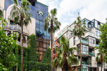 palm trees and modern apartment building in Batumi