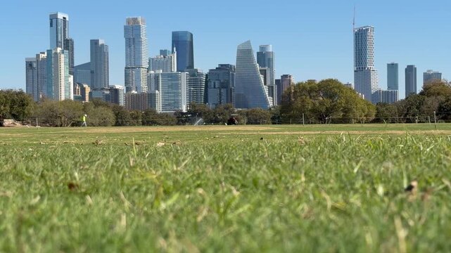 Low angle of Austin Texas Skyline with leaves
