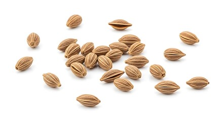 Obraz premium Small brown seeds scattered on white background