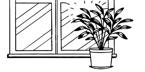 Indoor Plant in Ceramic Pot Near Sunlit Window — Modern Home Decor and Interior Design Concept with Background Removed