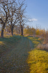 A narrow grassy path curves gently through a quiet, late-autumn landscape.