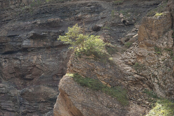 Eine fantastische Wanderung durch die Bl&auml;tterbachschlucht bei Aldein in S&uuml;dtirol