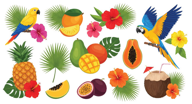 Flat 2D vector illustration of a vibrant tropical Hawaiian collection featuring exotic fruits like pineapple and papaya alongside colorful paradise birds, isolated on a clean white background.