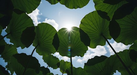 Sunlight shining through green leaves against sky