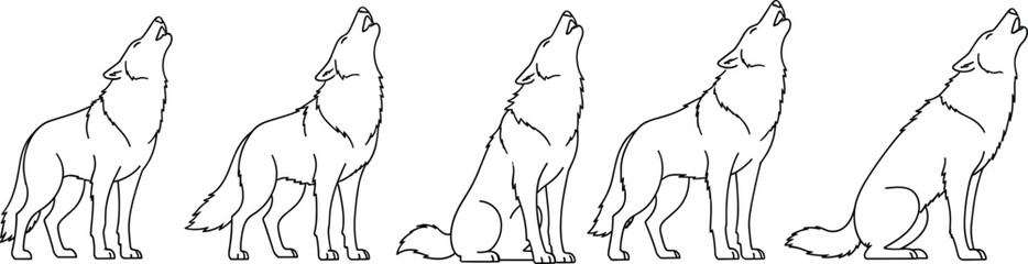 Howling wolf line drawings, progressive posture variations, black and white vector animals, stylized wildlife illustration, nature concept, minimal design, forest anatomy study