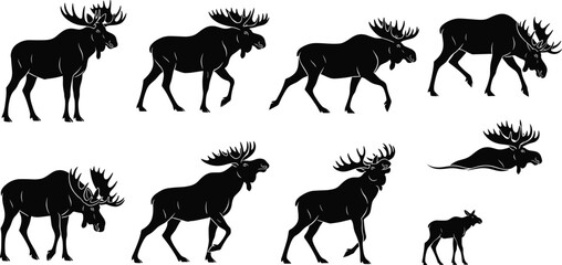 Moose walking and running silhouettes, wildlife motion sequence, black vector animals, calf included, nature illustration, minimal design, educational forest concept