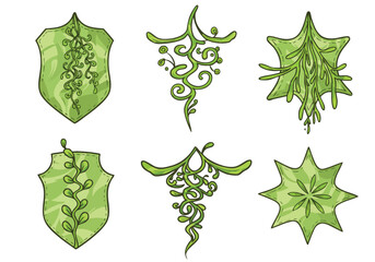 A vibrant collection of hand-drawn green organic decorative emblems and stylized plant elements for unique design projects