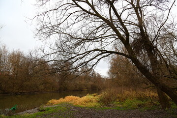 Beautiful colorful autumn in the park. Tree branches above the river under beautiful sky