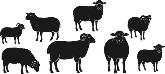 Sheep silhouettes, various poses and horn styles, black vector livestock, simplified animal illustration, rural concept, minimal design, farm breed diversity