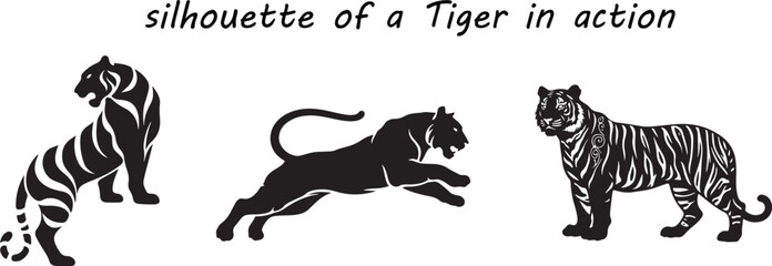 Three black tiger silhouettes in dynamic poses on white background animal