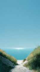 Pathway to Serenity: A scenic pathway leads towards the boundless expanse of the ocean. Bathed in the soft glow of the sun, and framed by lush, verdant grass, it evokes a sense of tranquility.