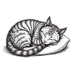  Aesthetic Coffee and Heart Outline Artwork