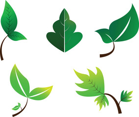 Five stylized green leaves with varying shapes and stem designs, presented against a clean white backdrop.