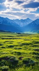 Fototapeta premium Mountain landscape grassland outdoors.