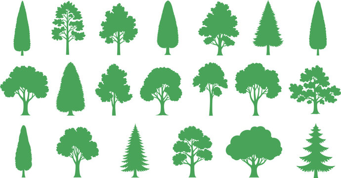 Green tree silhouette collection, forest nature design, eco vector illustration, botanical landscape elements for environment graphics