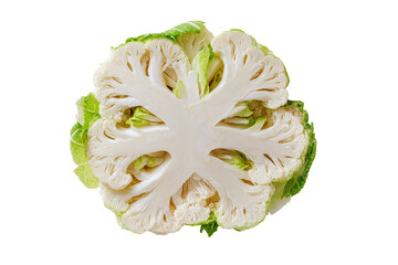 Close-up of a cauliflower floret cross-section.  Fresh,  pale yellow-white florets radiating outward from a central core, surrounded by bright lime-green leaves